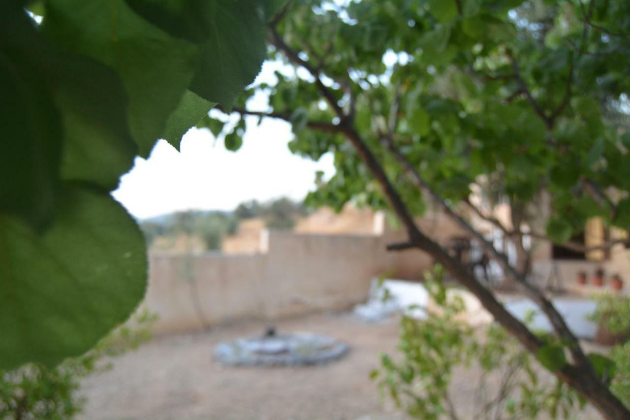 Our Villa'S Private Apartments - Hq Budget Stay - Wonderful Horizon View Of Jerash Gérasa Exterior foto
